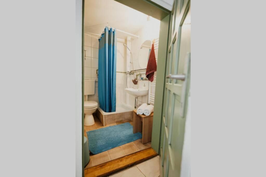 Green Centre Studio Cluj-Napoca Ngoại thất bức ảnh